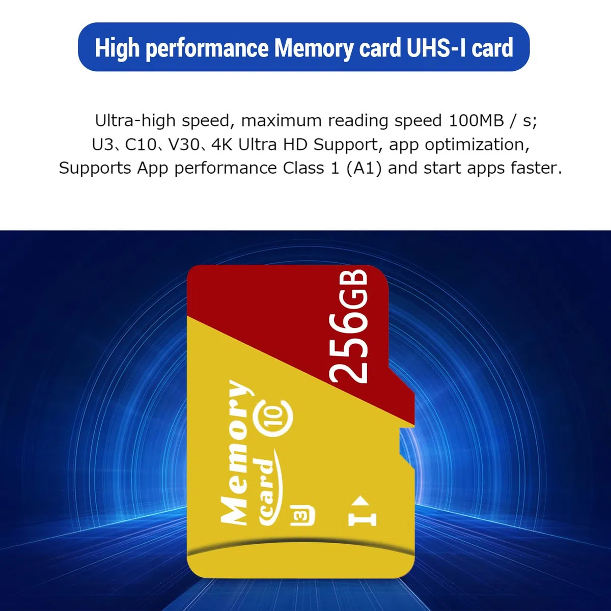Carte mémoire Micro + Adaptateur, Carte Micro 256Go avec A2 pour Smartphones, Drones, V30, Jusqu’à 100 MB/S, UHS-I, 4k, V30, A2, U3 -ZE256Go
